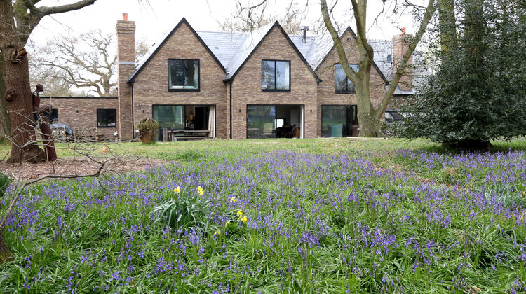 the-house-in-the-wood-renovation-using-minimal-windows